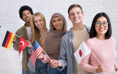 Título de idiomas aqui